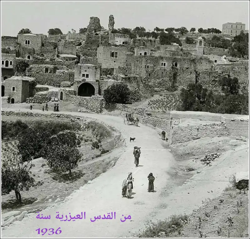 صور قديمة ونادرة من فلسطين والبلدان العربية