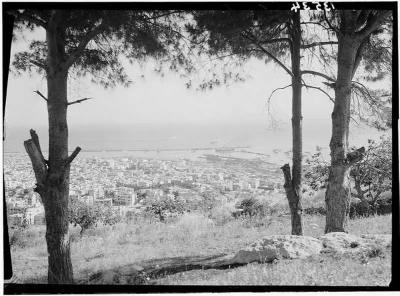 صورة لحيفا من جبل الكرمل 1920