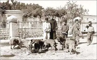 أطفال عام 1916