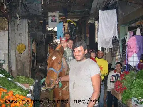 حصان غسان اشهر من ان يعرف