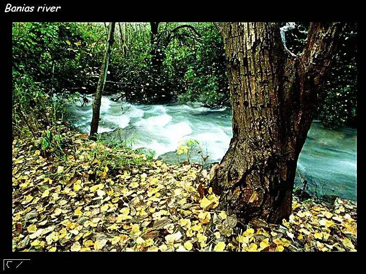 صورة اخرى لنهر بانياس
