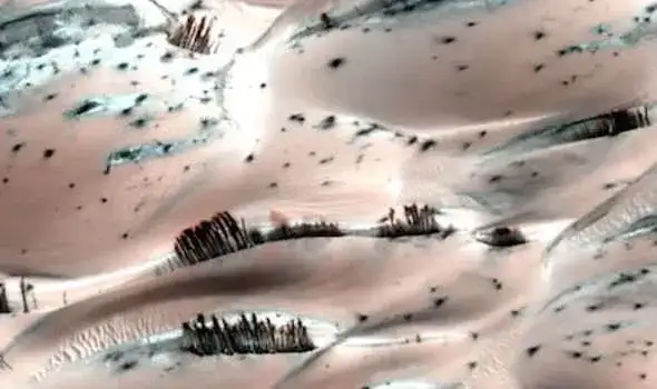 ناسا تصور أشجاراً على المريخ