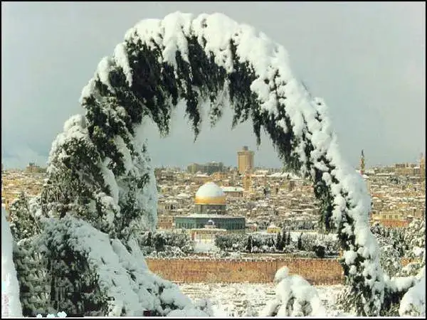 Al-Aqsa-Moschee_010.webp