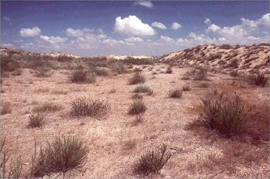 صحراء المجـدل