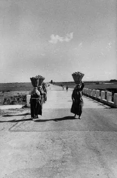 صور غزة في الخمسينات والستينات