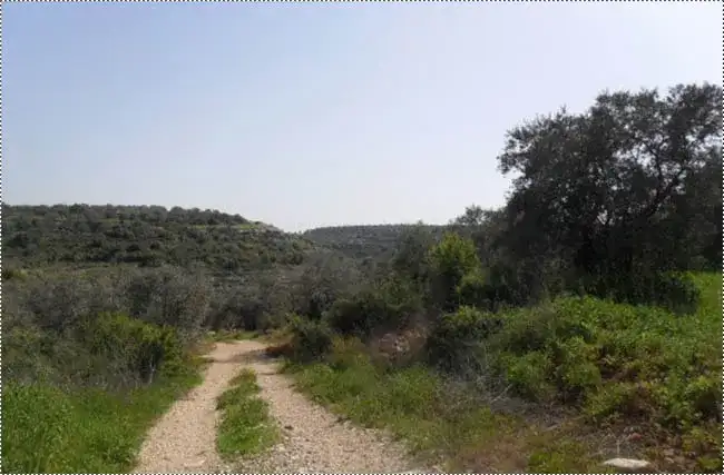 مدخل وادي الدلبي