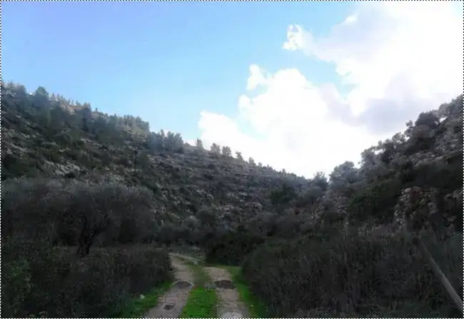 طريق وادي الشاعر