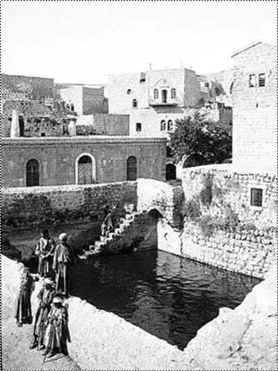 pictures-from-the-past-palestine-005.webp